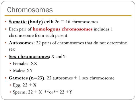 Meiosis And Sexual Life Cycles Ppt Download