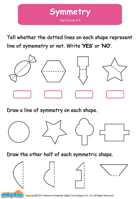 Lines Of Symmetry Lesson