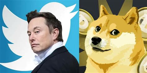 Elon Musk Replaced Twitters Bird Logo To Doge Meme