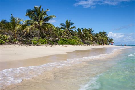 Flamenco Beach Snorkeling: The 1 Of The Best 10 Beaches