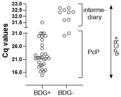 Jof Free Full Text Performance Of A Real Time Pcr For Pneumocystis Jirovecii Identification