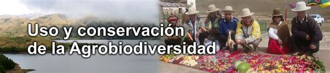 Uso Y Conservaci N De La Agrobiodiversidad Fundaci N Proinpa