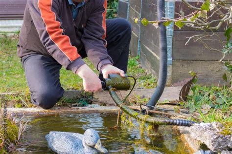 How To Do Garden Pond Filter Cleaning And Replacement