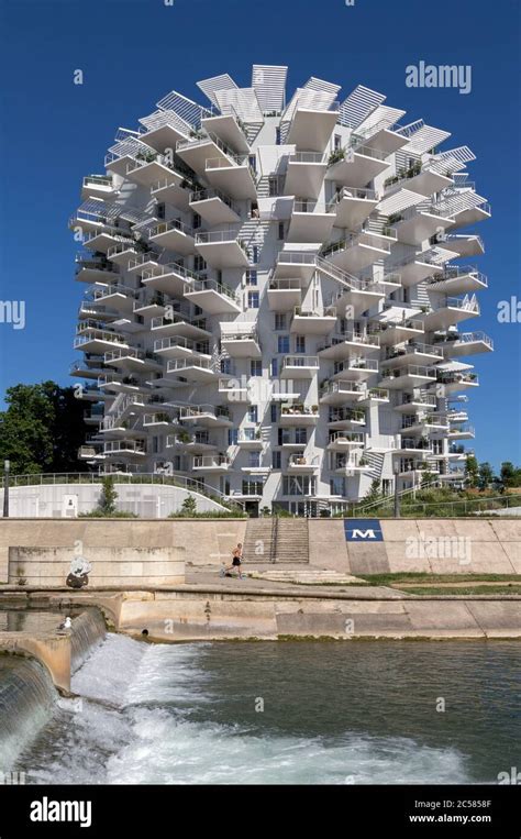 Arbre Blanc Montpellier Banque De Photographies Et Dimages Haute