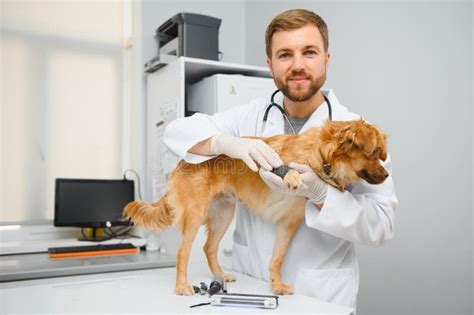 My Best Patient Cheerful Male Vet In Work Uniform Holding A Dog And