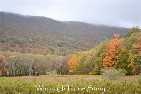 Fall Color in Canaan Valley, West Virginia | Whats Ur Home Story