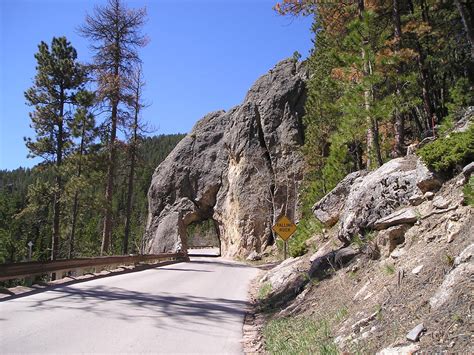 Needle's Highway | Black hills, Favorite places, Natural landmarks