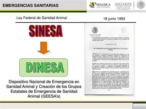 Ppt Dispositivo Nacional De Emergencia En Sanidad Acu Cola Dinesa