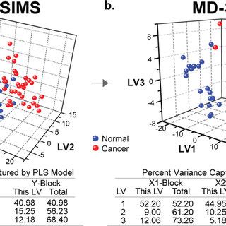 Integrated Analysis Of Tof And Meta Sims Datasets D Pls Da Score