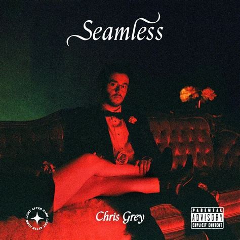 Chris Grey Seamless Lyrics Genius Lyrics