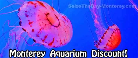 Monterey Bay Aquarium Discount Tickets, Aquarium Coupons AAA