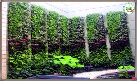 Vertical Garden Tukang Taman Jakarta Jasa Taman Jakarta Tukang