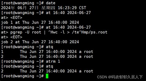 Linux Csdn