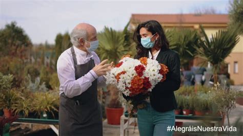 Descubre La Belleza De La Campanilla Una Planta Con Flor En Forma De