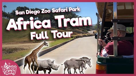 2022 Africa Tram Full Tour San Diego Zoo Safari Park Youtube