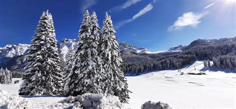 APT MADONNA DI CAMPIGLIO TN STAGIONE INVERNALE SABATO 20 E