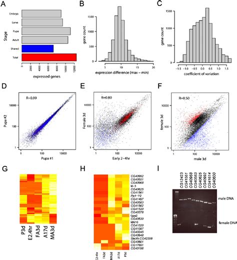 Sex Biased Expression Occurs In One Third Of Genes A On Average Download Scientific