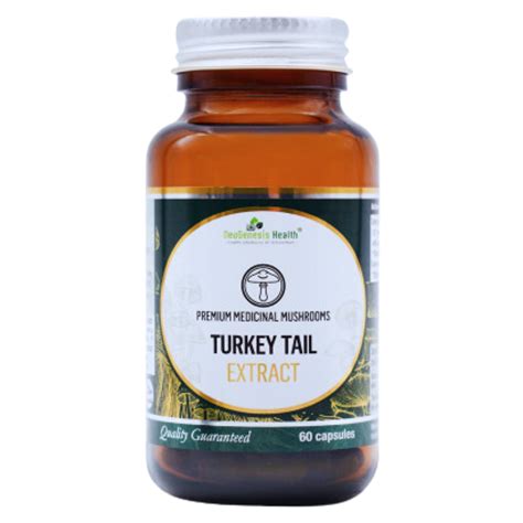 Turkey Tail Mushroom Extract 60caps Salt Of The Earth