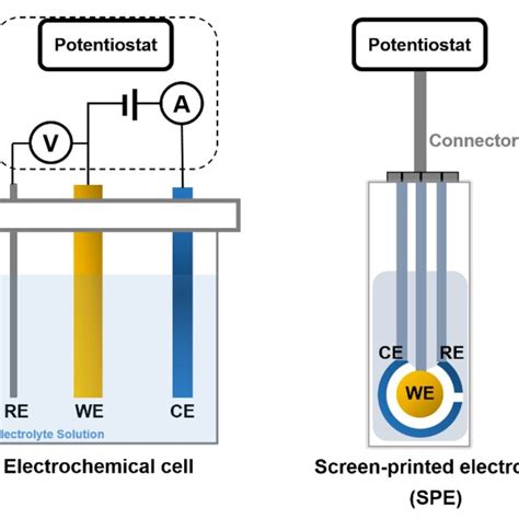types  electrochemical biosensors   electrodes
