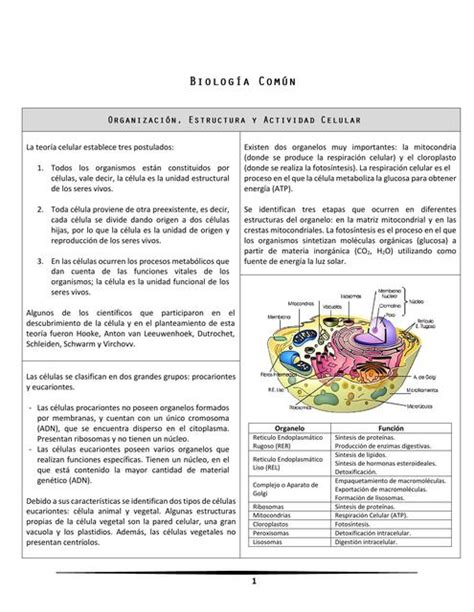 Apuntes De Biolog A Udocz