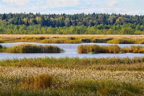 Kaņiera Ezers Lake Kaņieris Arnis Blumbergs Picasa Tīmekļa Albumi