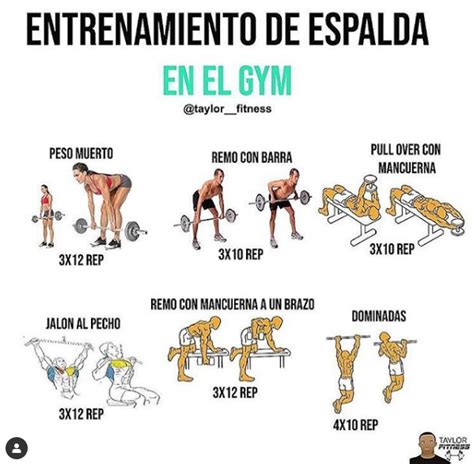 All Body Workout Back Workout Core Workout Workout Plan Shoulder