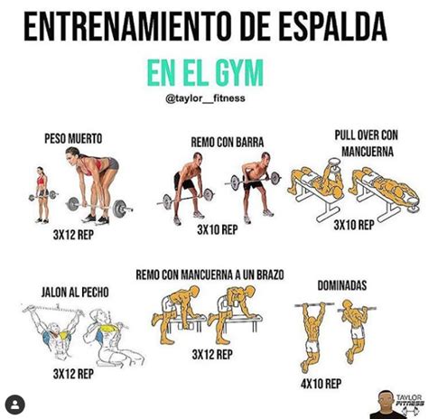 Los Mejores 5 Ejercicios Para Espalda Entrenamiento Espalda Rutina Para