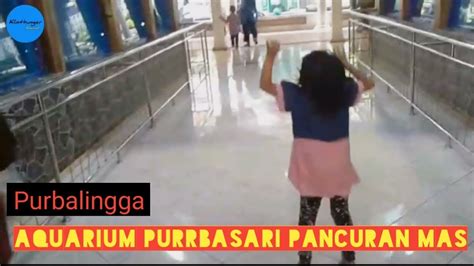 Klinthung Ke Aquarium Purbasari Pancuran Mas Purbalingga Jateng Youtube