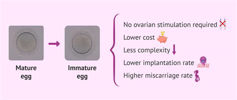 Advantages and disadvantages of in vitro maturation of oocytes