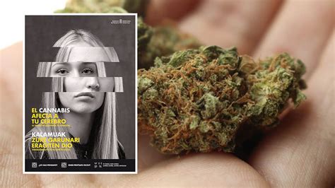 El cannabis afecta a tu cerebro Navarra lanza una campaña para