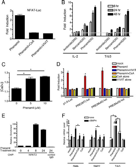 Phenamil Mediates Activation Of The Nfat Pathway A Pac Cells Were