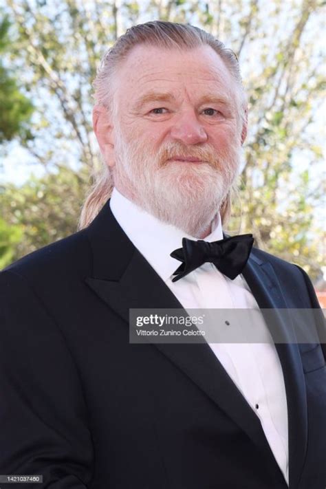 Mature Men Of Tv And Films Brendan Gleeson Irish Actor Damn I Could