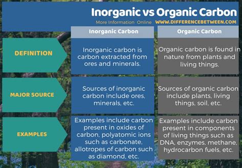 Difference Between Inorganic And Organic Carbon Compare The