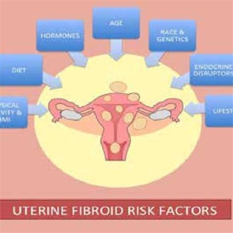 Different Types Of Uterine Fibroids Download Scientific Diagram