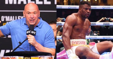 Dana White Reacts To Francis Ngannous Ko Loss If Tyson Fury Trained