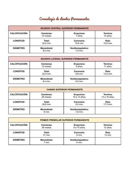 Cronología de Dientes Permanentes Lali Bustamante uDocz