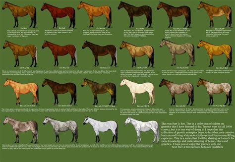 45 best images about Horse Coat Colors and Markings on Pinterest ...