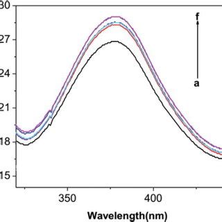 Absorption Spectrum Of BSA In The Presence Of Complex In The