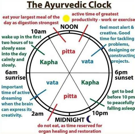 Daily Routine—use Ayurveda Clock Artofit