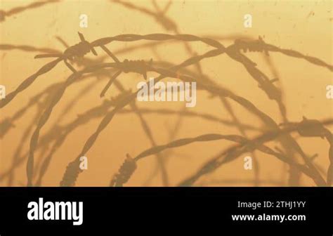 Chemical Warfare Gas Poison Ww1 Stock Videos And Footage Hd And 4k