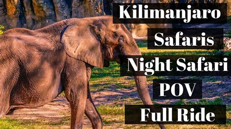 Full Kilimanjaro Safaris - Night Safari POV 4K - Disney's Animal ...