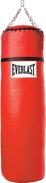 Punching Bag Png Image Boxing Punching Bag Png Free Transparent Png