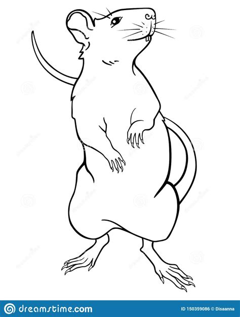 Mouse Standing On Hind Legs Drawing