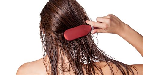 The 5 Best Hair Brushes For Wet Hair