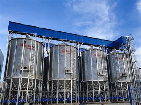 Sunflower Seed Storage Spiral Steel Silo Soybean Storage Steel Silos