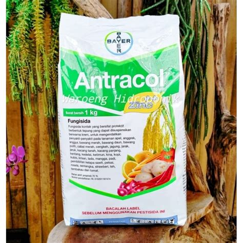 Jual Antracol Wp Kg Otiginal Fungisida Shopee Indonesia