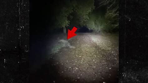 Dog Walking Couple Sees Demonic Figure Scurry Across Path Caught On Video