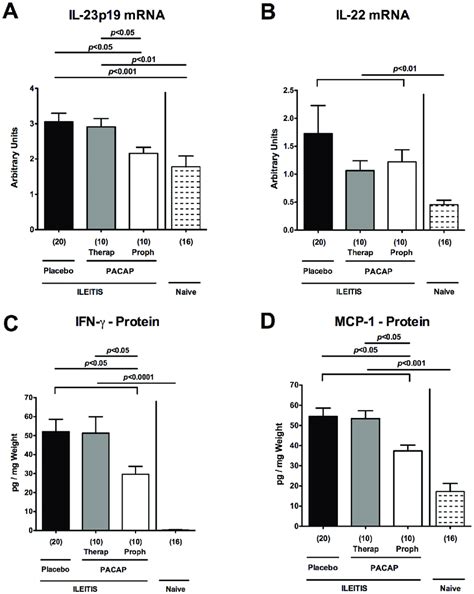 Pro Inflammatory Cytokine Responses In Ilea Of Pacap Treated Mice Download Scientific Diagram