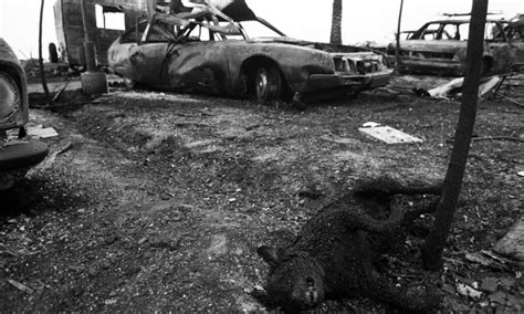 El Camping De Los Alfaques 40 Años De La Tragedia Del Camping De Los Alfaques — Foro