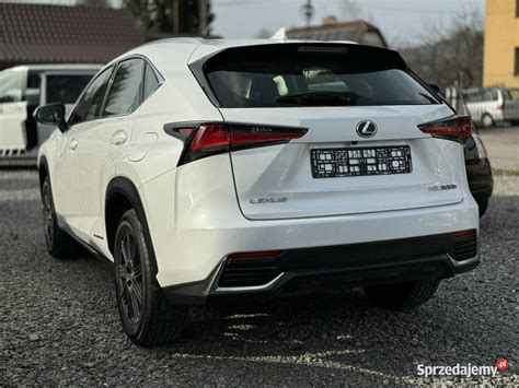 Lexus Nx H Hybrid Wd Prestige X Vat I Odygowice